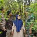 Lansia Asal Sukaraja Sukabumi Berhasil Meraup Cuan Hingga Ratusan Juta Dari Budidaya Anggur Brazil 