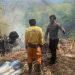 Truk Bermuatan Aspal Terperosok ke Jurang Hingga Terbakar di Ciemas Sukabumi