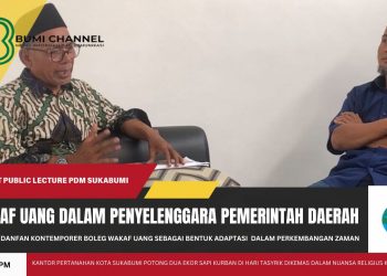 Integrasi Inovasi Waqf-Preneurship Dalam Penyelenggaraan Pemerintah Daerah
