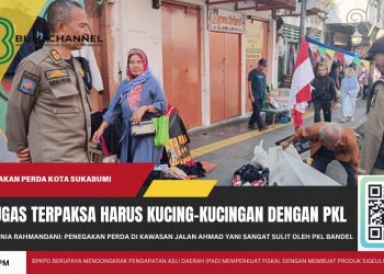 Banyak PKL Ngeyel, Petugas Satpol PP Terpaksa Harus Kucing-kucingan Dalam Tegakan Perda