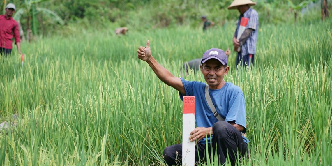 Mudik ke Kampung Halaman? Jaga Batas Tanah sebagai Langkah Awal Cegah Konflik Antartetangga