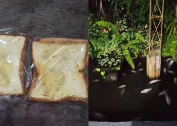 Roti MBG Asam Berujung Ikan Mati, Orang Tua Siswa SDN Gunungpuyuh CBM Resah