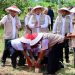 Pasang Patok, Cara Sederhana Cegah Sengketa Tanah dengan Tetangga