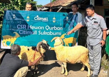 Citimall Sukabumi Tebar Kepedulian Idul Adha 1447 H, Salurkan Hewan Kurban untuk Warga Gunung Parang