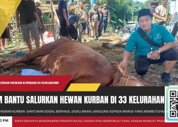 IPSM Sukses Salurkan Daging Kurban Bakrie Group hingga ke 33 Kelurahan di Kota Sukabumi