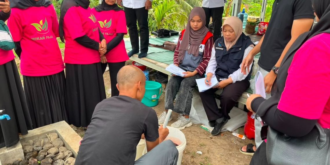 Pertamina Patra Niaga RJBB Perkuat Program Katasik melalui Pelatihan Hidroponik di Tasikmalaya