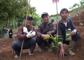 Pertamina Patra Niaga RJBB Lestarikan Pohon Endemik melalui Program Konservasi Saninten Lestari