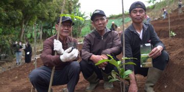 Pertamina Patra Niaga RJBB Lestarikan Pohon Endemik melalui Program Konservasi Saninten Lestari