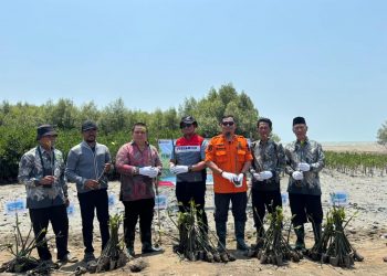 Pertamina Patra Niaga RJBB Kolaborasi dengan Masyarakat Tanam 3.000 Bibit Mangrove di Karawang