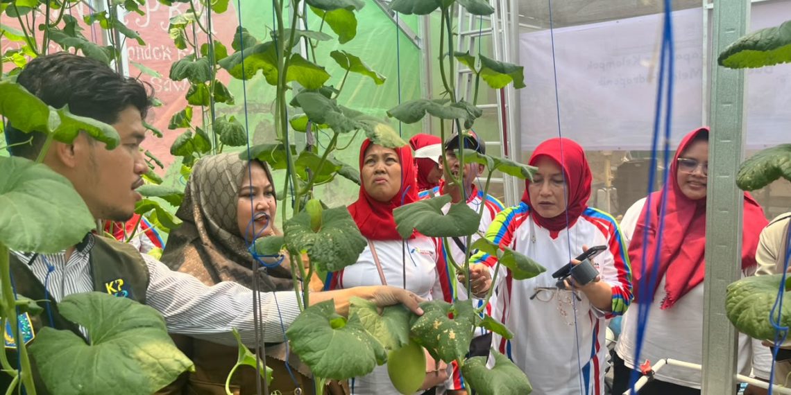 Pertamina Patra Niaga RJBB Bersama Masyarakat Kembangkan Pertanian Hidroponik untuk Perkuat Ketahanan Pangan